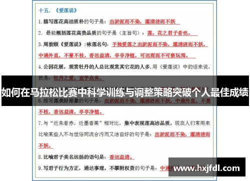 如何在马拉松比赛中科学训练与调整策略突破个人最佳成绩