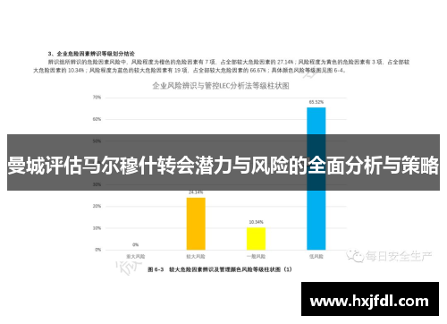曼城评估马尔穆什转会潜力与风险的全面分析与策略 曼城评估马尔穆什转会潜力与风险的全面分析与策略